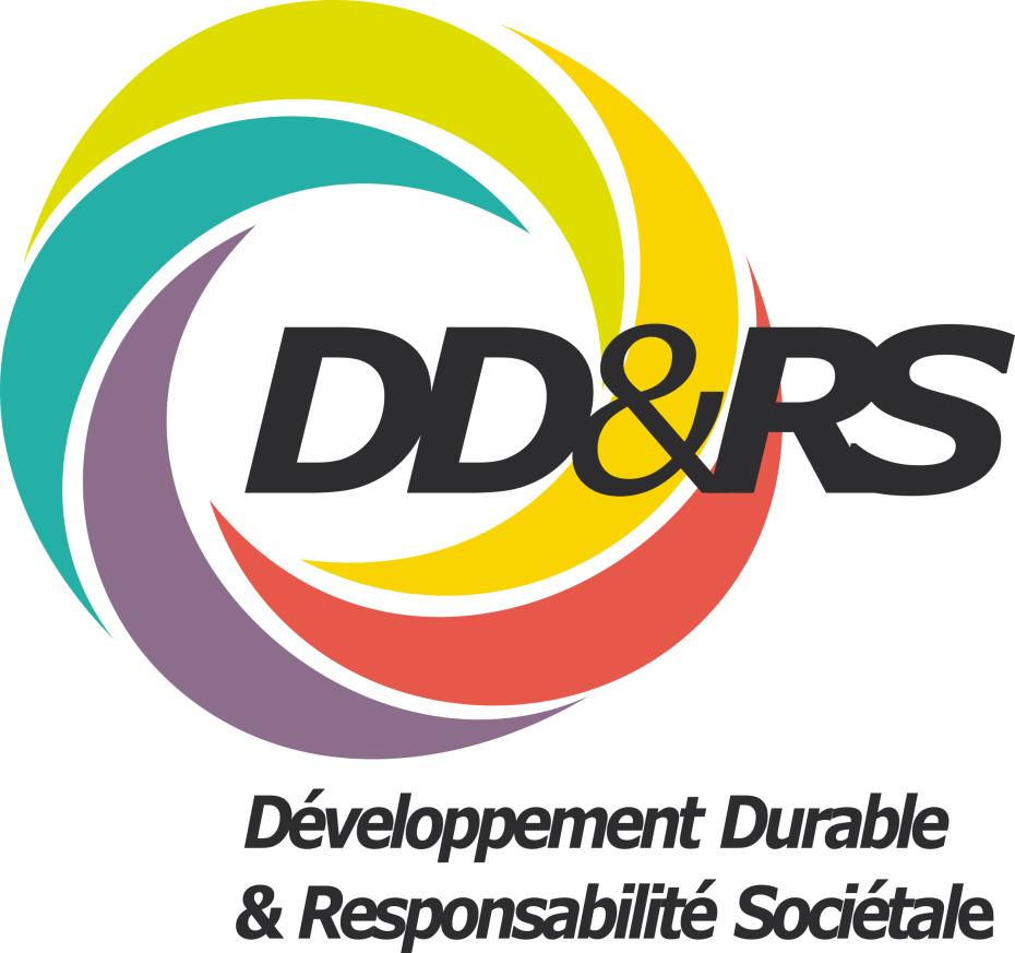 Logo pour l'auto évaluation DD/RS
