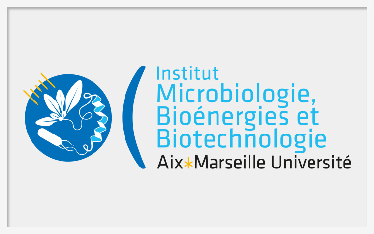 DIRCOM-Tuile-institut-microbiologie