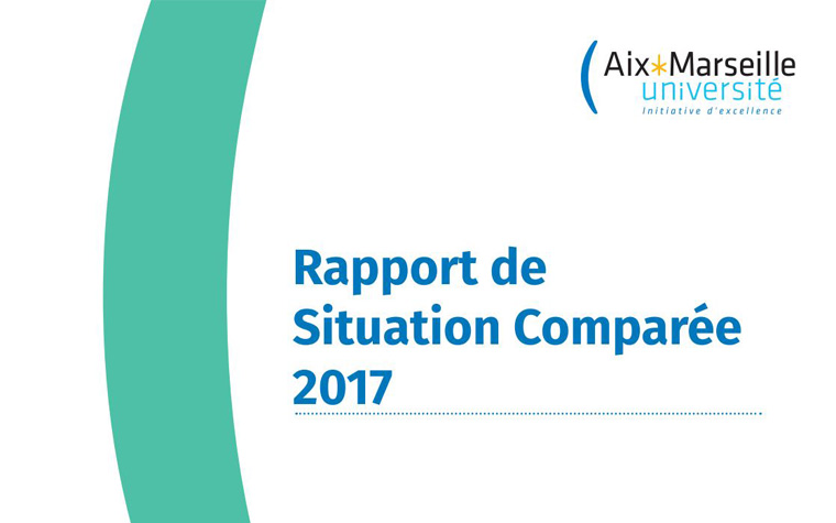 tuile rapport situation comparee 2017