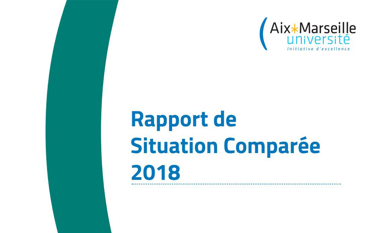 tuile rapport situation comparee 2018
