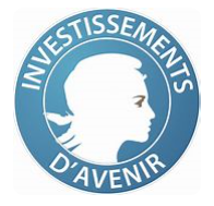 logo Investissement d'Avenir
