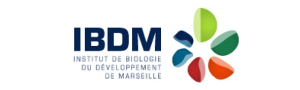 logo IBDM