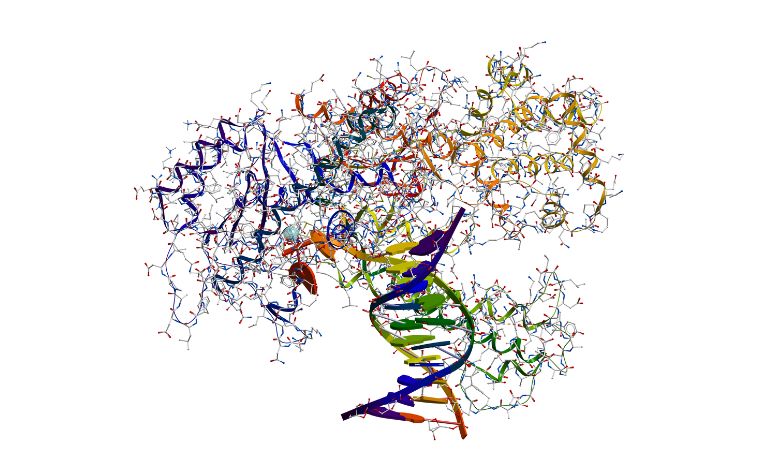 IM2B-tuile-5-1-2-Biologie structurale, génomique