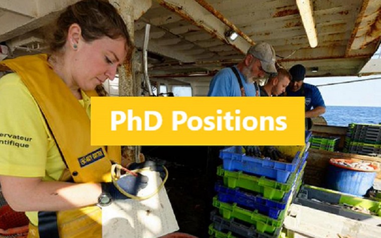 Tuile phd positions