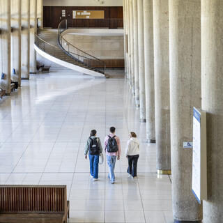Timone hall
