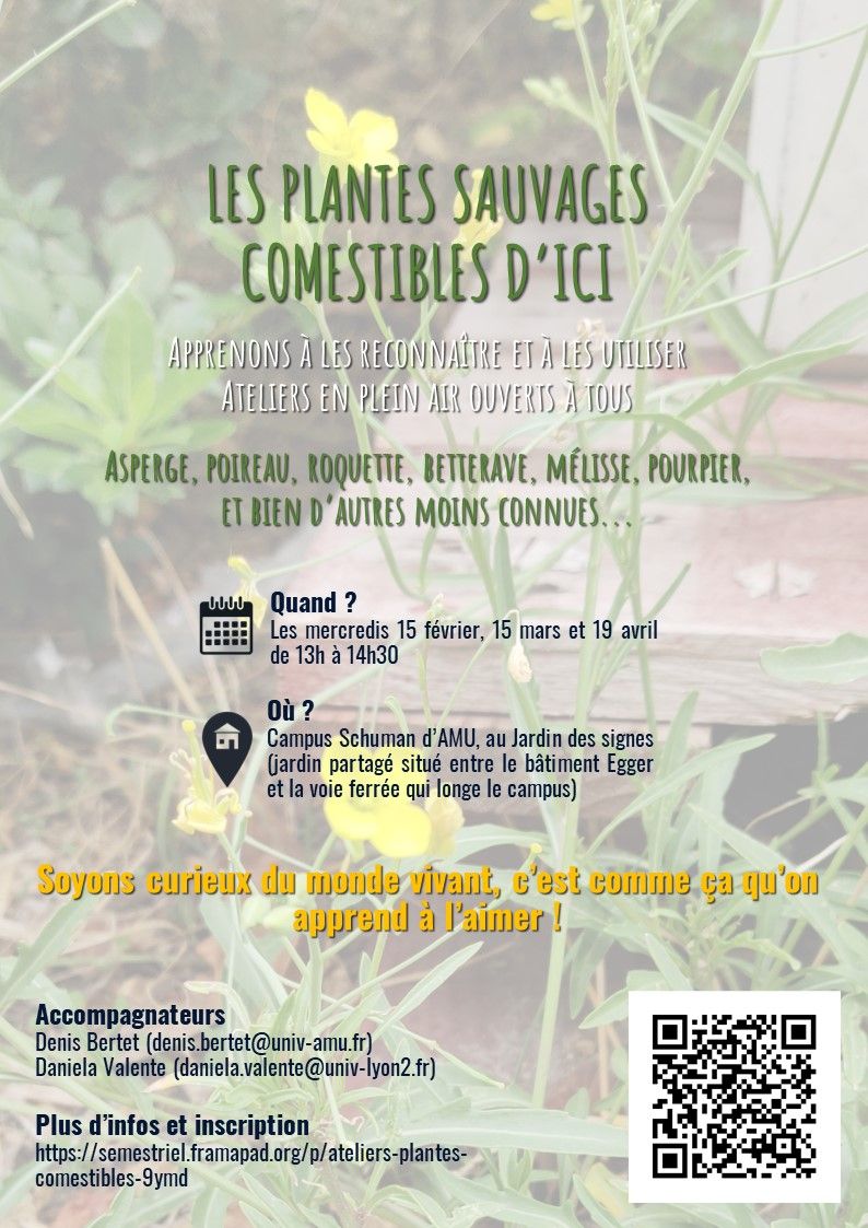 Annonce ateliers plantes sauvages comestibles Aix