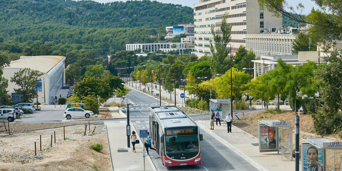 Bus Luminy