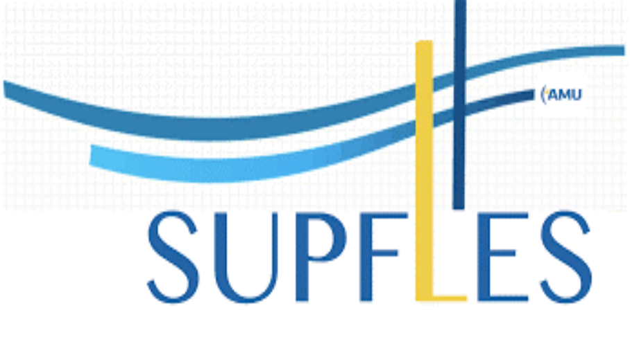 Logo SUPFLES
