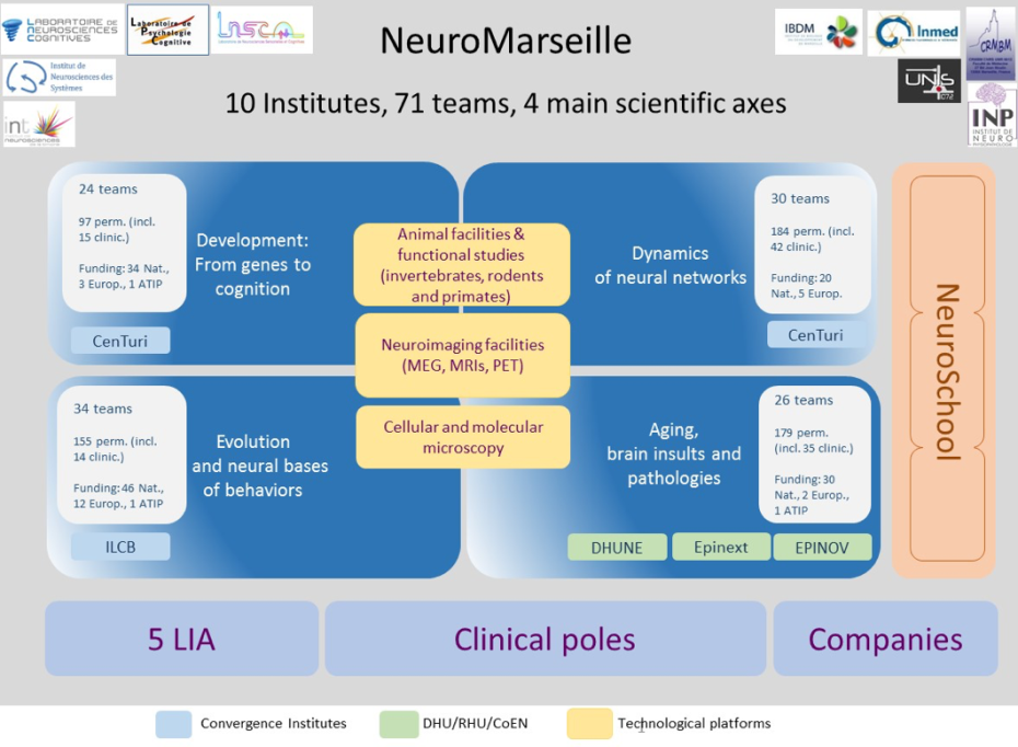 Schéma en anglais présentant les 4 axes de recherche majeurs menées à NeuroMarseille