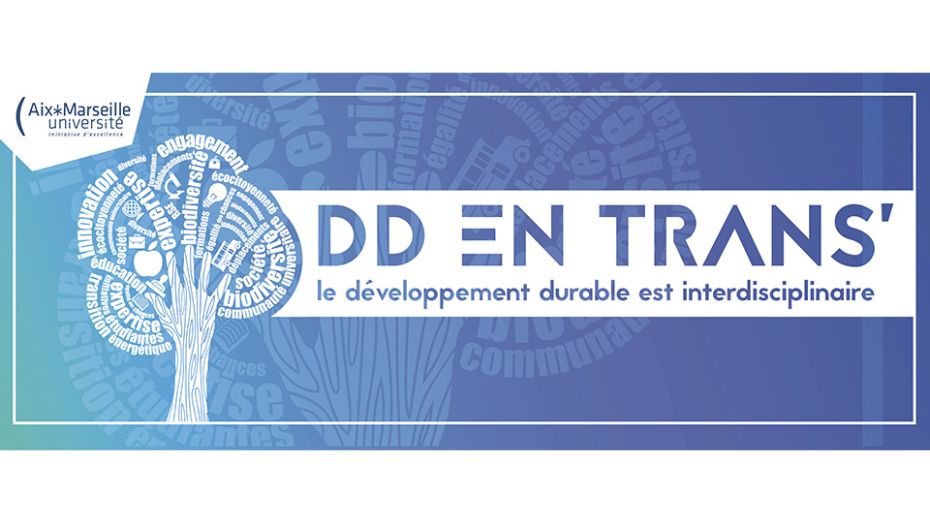 DDD-Illustration-DDentrans